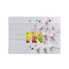 Template Memorial Books - White Roses - Prime Grafix & Unibind, Printing & Binding, Australia